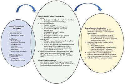 Viral meningoencephalitis in pediatric solid organ or hematopoietic cell transplant recipients: a diagnostic and therapeutic approach